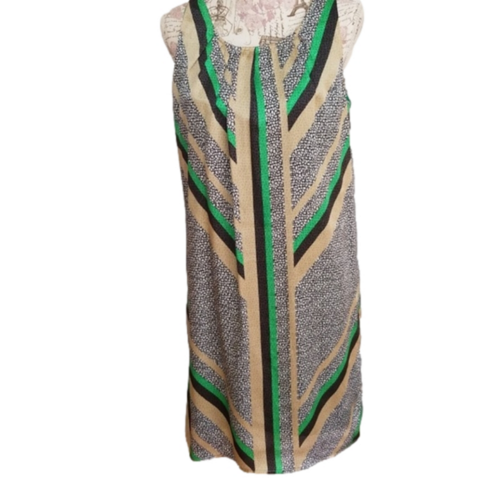 Dana Buchanan Dress